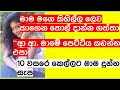 Sinhala Wal Katha Channel First Logo Sinhala Wal Katha Wala Katha Hukanawa Story