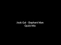 Jook Gal   Elephant Man Quick Mix