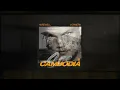 Hardwell & Vorwerk Vs Avicii  - Cambodia Vs SOS (Lee Barzola Mashup)