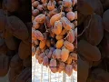 Download Lagu seperti inilah cara petani di arab memanen buah kurma