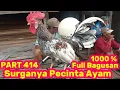 Lagu PART 414 🛑 Surganya Pecinta Ayam ‼️💯% Full Bagusan