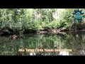 Download Lagu Ku Tetap Cinta Yesus Selamanya.