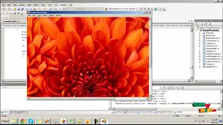 DOTNET Project - Image Encryption Using Parallel RSA Algorithm on CUDA