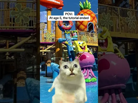 CAT MEMES 🐱At Age 5, the Tutorial Ended #catmemes #relatable #relationship