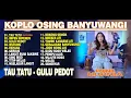 Download Lagu Dini Kurnia - TAU TATU, IMPEN IMPENEN, GULU PEDOT - FULL ALBUM KOPLO OSING BANYUWANGI TRENDING 2025
