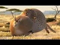 Download Lagu Động vật béo phì ♫ Phim hoạt hình 3D ♫ Hoạt hình HÀI HƯỚC, VUI NHỘN hay nhất cho Bé
