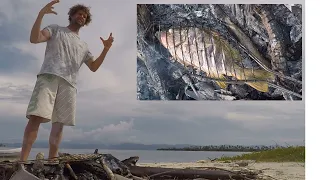 Ep 311 Catch and cook on a deserted island in the Caribbean – Spearfishing / snorkeling in paradise