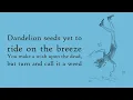 Synced - Falling Up Will Wood