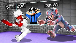 LEVEI o TOM.JAR para a FUNDAÇÃO SCP