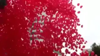 بحبك بأحساس    دندنها