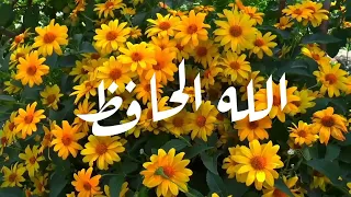 اغنية اسم جورية  جورية دندنها