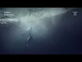 Gabríel Ólafs - Whale Overture (Audio)