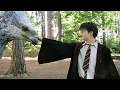 Download Lagu Harry Meets Buckbeak (Full Scene)