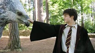 harry meets buckbeak full scene 