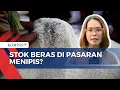 Download Lagu Beras Premium Mulai Langka, Begini Pantauan Stoknya di Pasar Induk Cipinang Jakarta