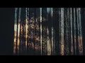 THE BOOM - 時がたてば (Toki ga tateba)