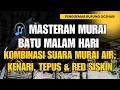 Download Lagu 🎧 Masteran Murai Batu Malam Hari | Kombinasi Suara Murai Air, Kenari, Tepus \u0026 Red Siskin