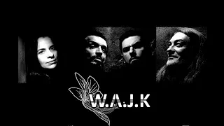 jarek wajk u0026 w a j k bia y live 2020 