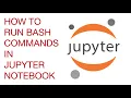 How to run bash commands in Jupyter notebook