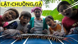 Lật chuồng gà khám phá vườn ông nội NHÂN /Bắp TV
