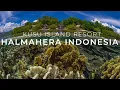 Lagu Snorkeling in Halmahera with Kusu Island Resort