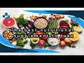 The best nutritional supplement to take