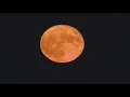 Brightest supermoon of the year over Milwaukee FOX6 News Milwaukee