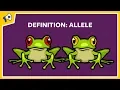 What is an Allele Quick Definition