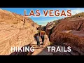 7 Family-Friendly Hiking Trails Near Las Vegas with Kids Red Rock Canyon Nevada