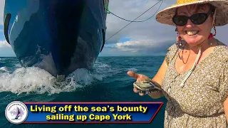 Living self sustainably of the sea as we sail up Cape York to the top of Australia – S 3 Episode 81