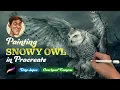Draw Snowy Owl Procreate