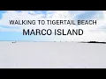 Walk to Tigertail Beach the normal way WITHOUT lagoon crossing Marco Island Southwest Florida