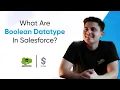 Boolean Datatype In Salesforce Premium Salesforce Development Course 2025