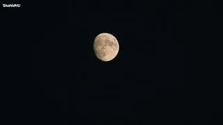 مسلسل فريد وسيران الحلقه 3 مدبلج الى العربيه 