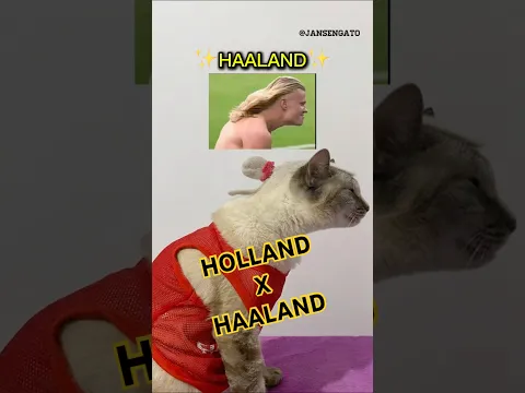 HOLLAND X HAALAND 🕷️🇳🇴