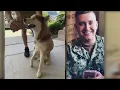 Never give up hope Tulare man reunites with his dog seven years after running away