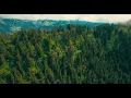 Bonobo - Age of Phase