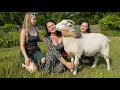 Download Lagu Запекли Домашних Перепелов в Тандыре! Ужин, Ради Которого Стоит жить в Селе