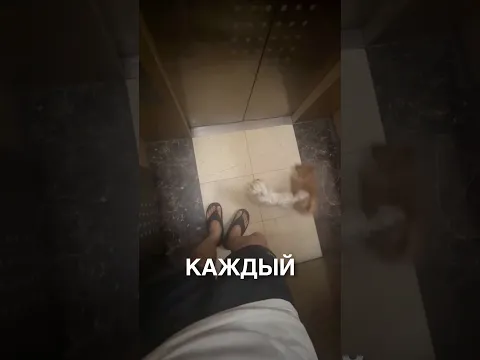 А кто из них вы? 😂 #истории #история #новости #новость #shorts