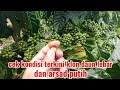Lagu cara memilih bahan b1 yang layak lajut ke b2 supaya tidak salah pilih