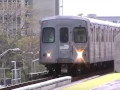 Budds Of Florida - Miami Metrorail