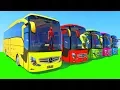 Download Lagu Color Big Bus Fun Gameplay with Songs
