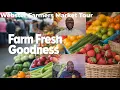 We Spent a Day at Florida s Biggest Farmers Market Here s What We Found