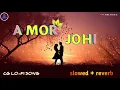 Lagu A MOR JOHI ‼️ ए मोर जोही ‼️ cg lofi song ‼️ slowed +reverb song ‼️ n k music status