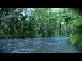 Sleep to Relaxing Raindrops + Water Sounds