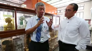 ทำไมการศึกษาหลอดเลือดในสมองจึงสำคัญต่อการเข้าใจโรคทางประสาท