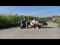 Bentuk Cinta - Eclat Story (Samuel Maynard ft. Vincent Geraldi)
