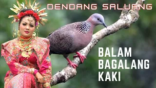 dendang saluang balam bagalang kaki eka sutai 