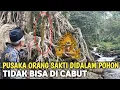 Download Lagu Merinding !! Pusaka Orang Sakti Di Dalam Pohon Tidak Bisa Di Cabut
