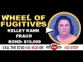 Wheel of Fugitives Episode 482 Kelley Kann